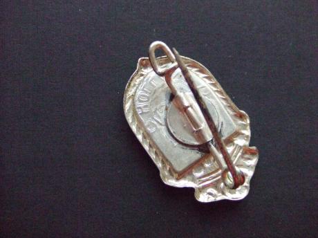 Voorthuizen gemeente Barneveld gemeentewapen,vlinder.broche (2)
